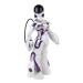 Робот Mini Femisapien с пультом управления WowWee