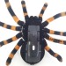 Робот паук Тарантул радиоуправляемый WowWee